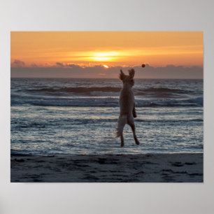 "Live Large" Beach Sunset Poster (14" x 11")