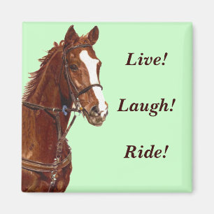 Live! Laugh! Ride! Refrigerator Magnet