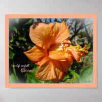 Live Life in Full Bloom Floral Hibiscus