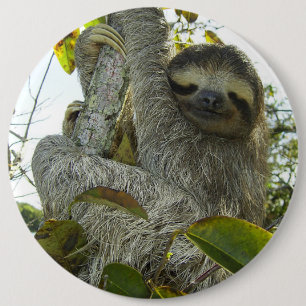 Live Life Like a Sloth 6 Inch Round Button