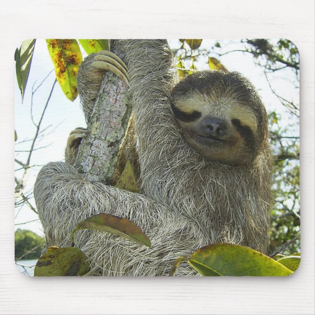 Live Life Like a Sloth Mouse Pad (Front)