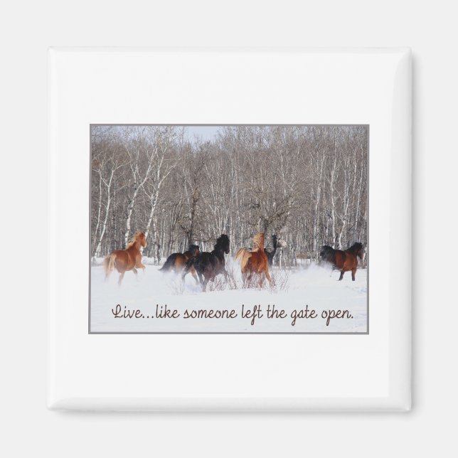 Live Life.....Like someone left the gate open! Magnet (Front)