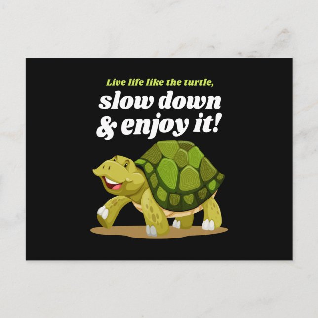 Live Life Like The Turtle Turtles Postcard (Front)