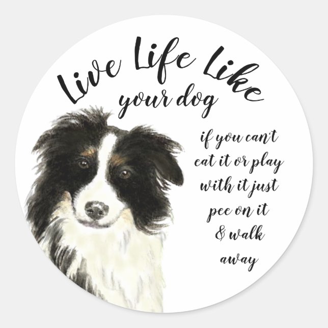 Live Life Like Your Dog Inspirational Quote Classic Round Sticker (Front)