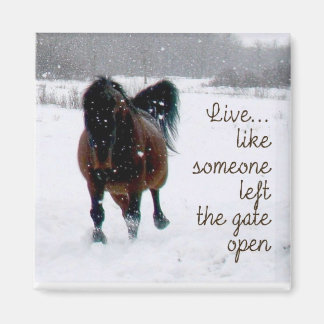 Live Life! Magnet