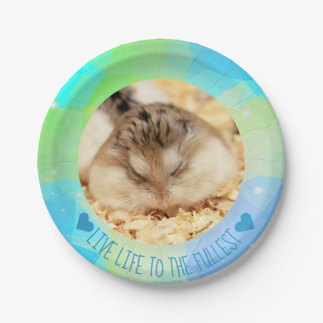 Live Life to the Fullest - Hammyville Hamsters Paper Plate (Front)