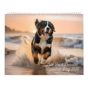 Live Like A Bernese 2025 Wall Calendar           