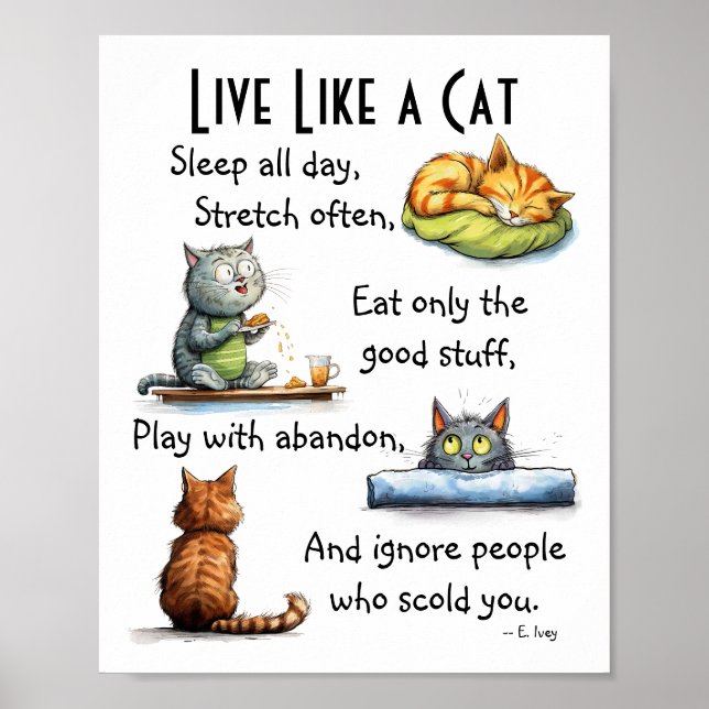 Live Like a Cat Humourous Cartoon Wall Art  (Front)