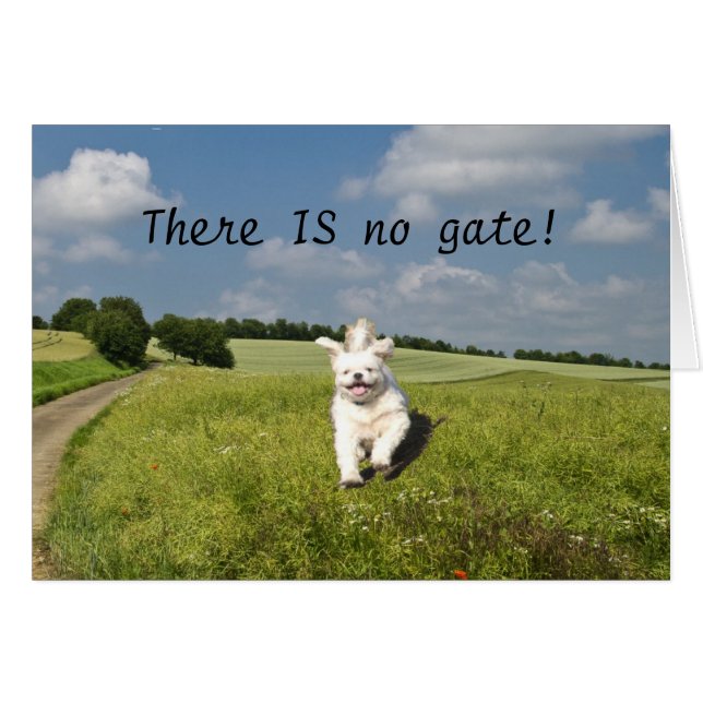 "Live Like..." Card - Buddhist (Matrix) Version! (Front Horizontal)