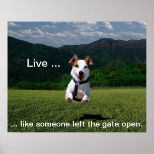 Live Like One Left Gate Open Poster
