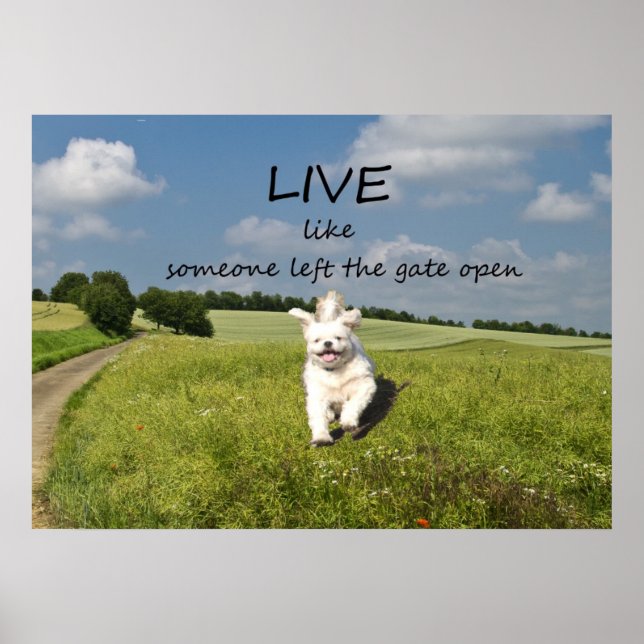 Live Like One Left Gate Open Poster (Devant)