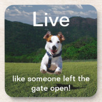 "Live Like Someone Left the Gate Open" Coaster