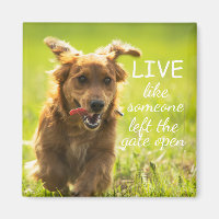 "Live Like Someone Left the Gate Open" Dachshund 