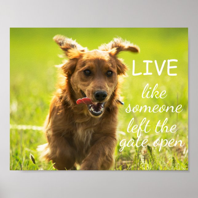 "Live Like Someone Left the Gate Open" Dachshund Poster (Front)