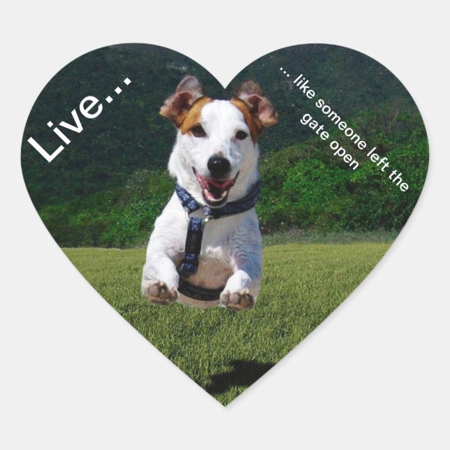 Live Like Someone Left the Gate Open Heart Sticker (Front)
