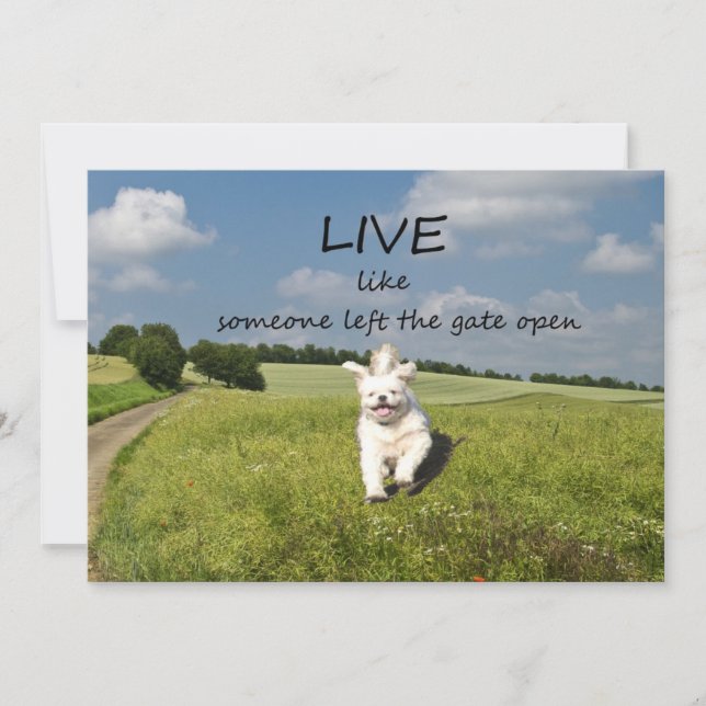 "Live Like Someone Left the Gate Open" Invitation (Front)