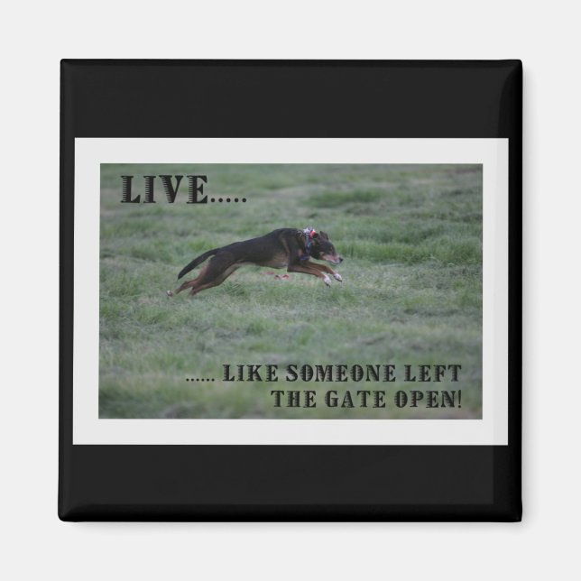 LIVE LIKE SOMEONE LEFT THE GATE OPEN MAGNET (Front)