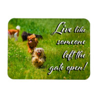 Live Like Someone Left the Gate Open! 