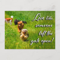 Live Like Someone Left the Gate Open!