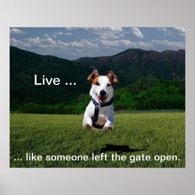 Live Like Someone Left the Gate Open Poster (Front)