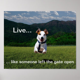 "Live Like Someone Left the Gate Open" Poster