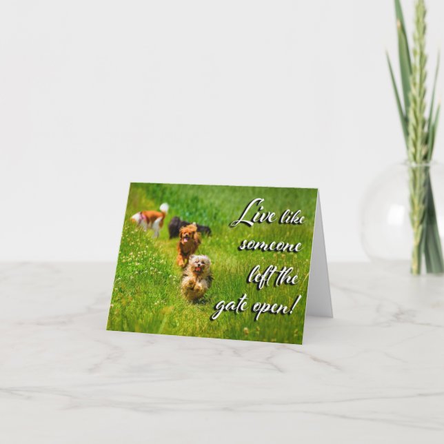 Live Like Someone Left the Gate Open! Thank You Card (Front)