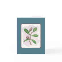 Live Oak Card: Blue and Brown