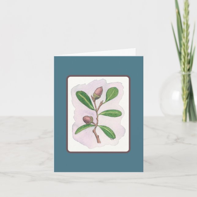 Live Oak Card: Blue and Brown Card (Front)