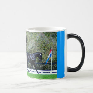 live oak cde magic mug