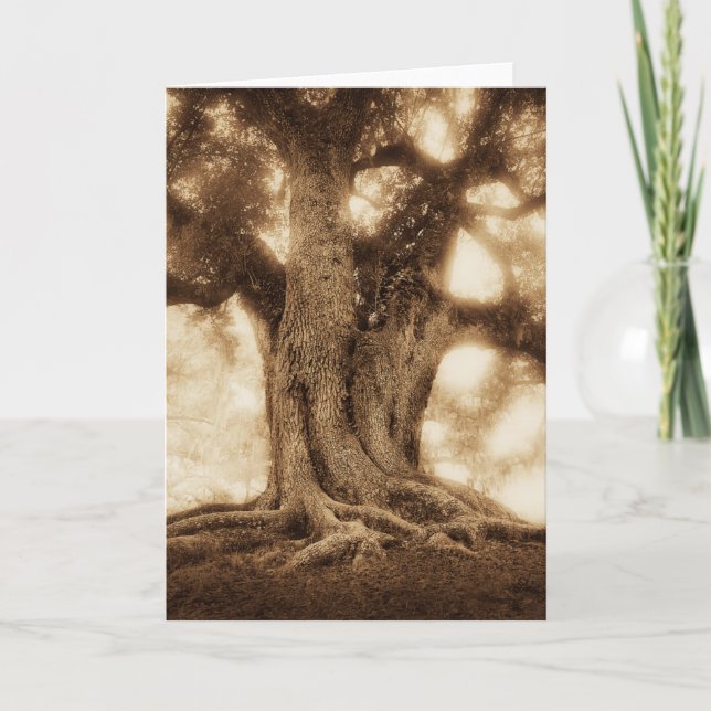Live Oak - MW1101 Card (Front)