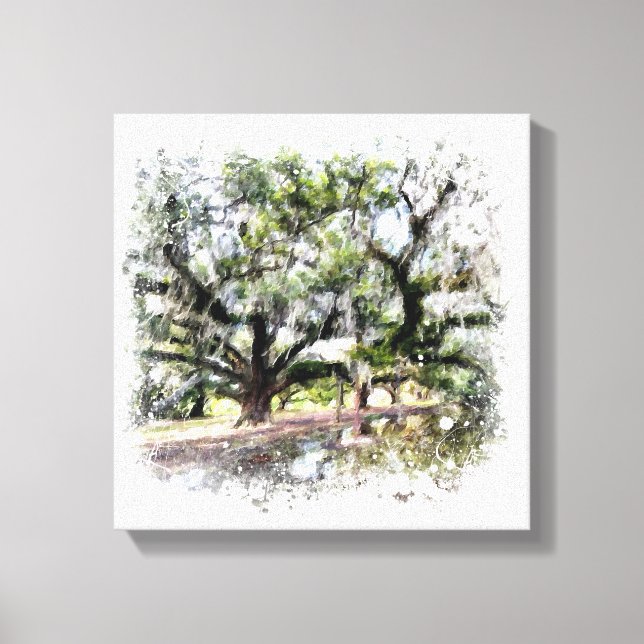 *~* Live Oak New Orleans Living Oaks Art Painting  Canvas Print (Front)