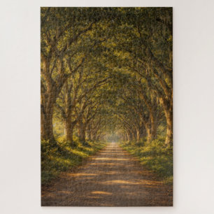 Live Oak Path   Landscape   Puzzle