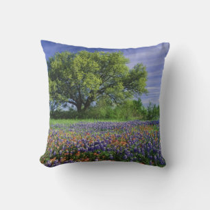 Live Oak & Texas Paintbrush, and Texas Throw Pillow