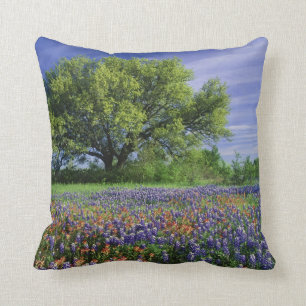 Live Oak & Texas Paintbrush, and Texas Throw Pillow