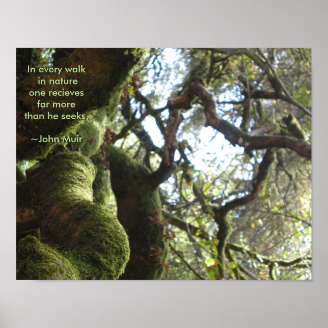 Live Oaks Muir Quote Poster (Front)