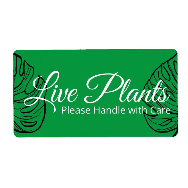 Live Plants Please Handle With Care Monstera (Front)