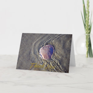 Live Sand Dollar Carte de remerciements photo