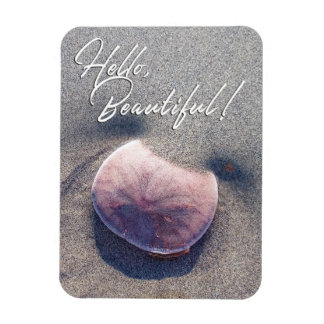 Live Sand Dollar Photo Hello Beautiful Magnet
