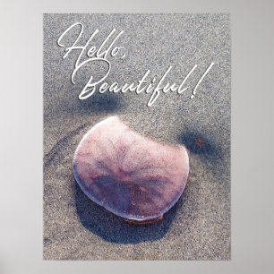 Live Sand Dollar Photo Hello Beautiful Poster
