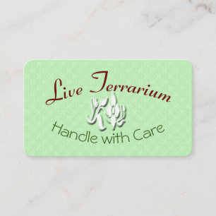 Live Terrarium Care Instructions Card