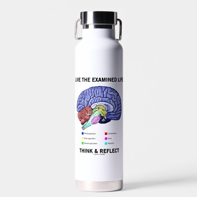 Live The Examined Life Think & Reflect Advice Water Bottle (Front)