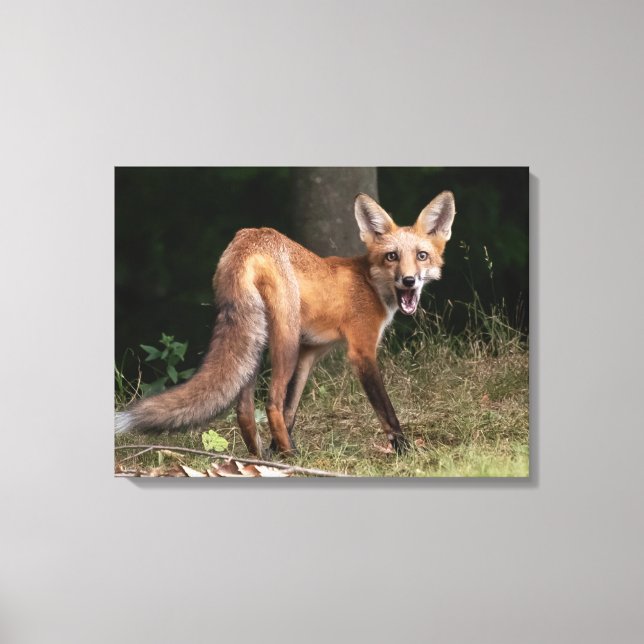 Live With Spirit    Canvas Print (Front)