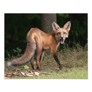 Live With Spirit   Photo Print