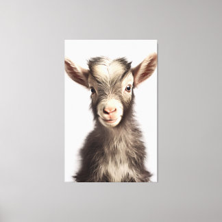 Lively Coloured Authentic Baby Goat Full Portrait Canvas Print