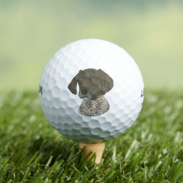 Liver and White German Shorthaired Pointer Golf Balls (Insitu Tee)