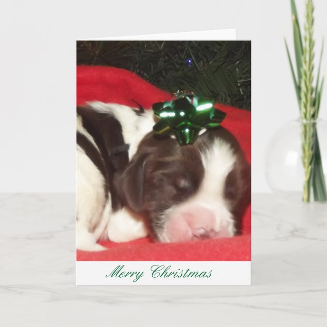 Liver and white sleeping English Springer Spaniel Holiday Card (Front)