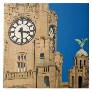 Liver Building, Liverpool, Merseyside, England Tile