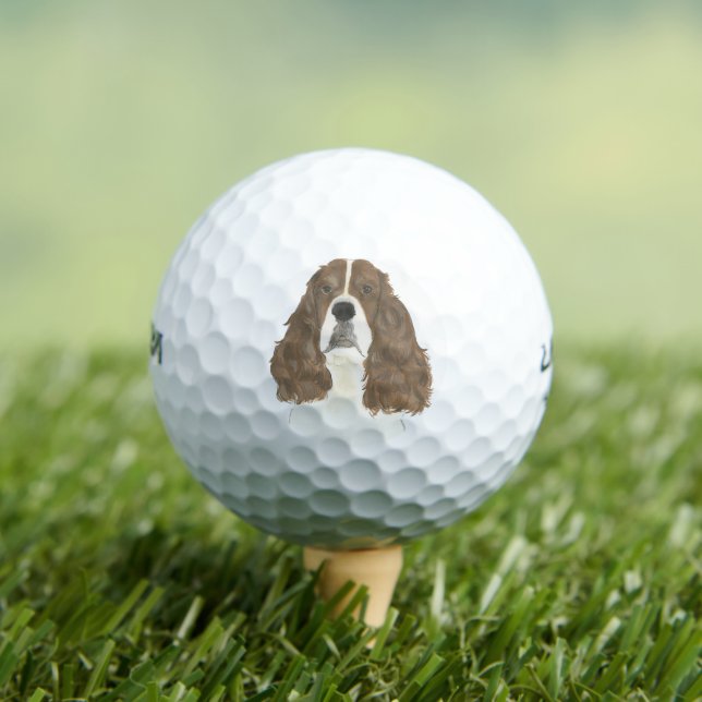 Liver & White English Springer Spaniel Golf Balls (Insitu Tee)