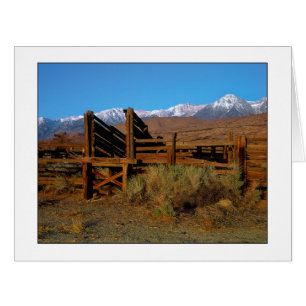 " Livestock Chute "