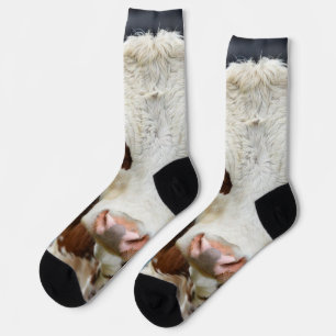 Livestock Show Cow Photo Customize Socks